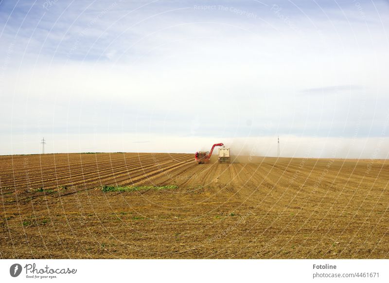 Auf einem Feld wird die Kartoffelernte eingefahren. Ein Erntefahrzeug fährt neben einem LKW. Beide wirbeln ganz schön viel Staub auf. Himmel Landwirtschaft