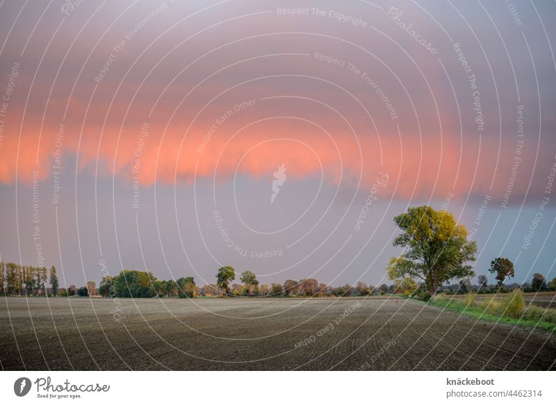 feld im abendrot Feld Himmel Landschaft Wolken Baum Außenaufnahme Textfreiraum oben Natur Farbfoto Regenbogen Umwelt Horizont Sonnenlicht Herbst