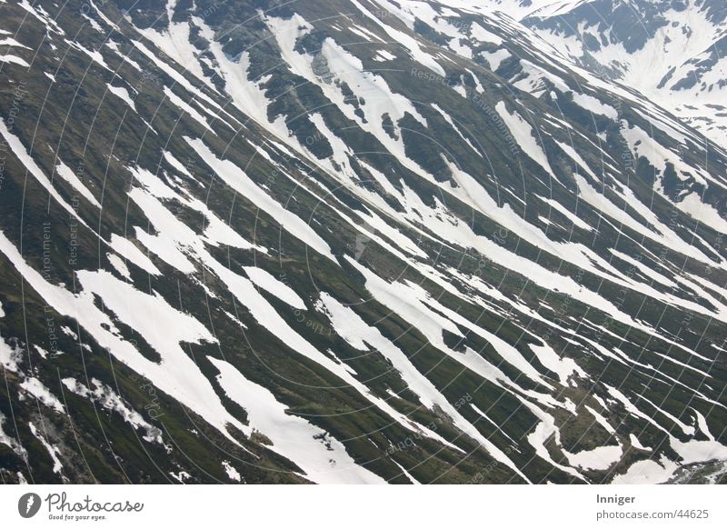 Frühlingszebra Berghang Furkapass Schneeschmelze Berge u. Gebirge Wilde Böden