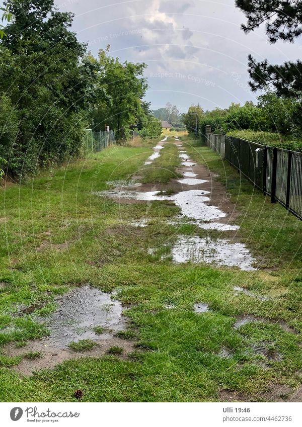 Wetter in der Eisvogelstraße..... Straße Wege & Pfade Regen Gras Gartenzaun Hecke Regenwasser Menschenleere Straße Gewitter Pfütze Ruhe Stillstand Stille Herbst