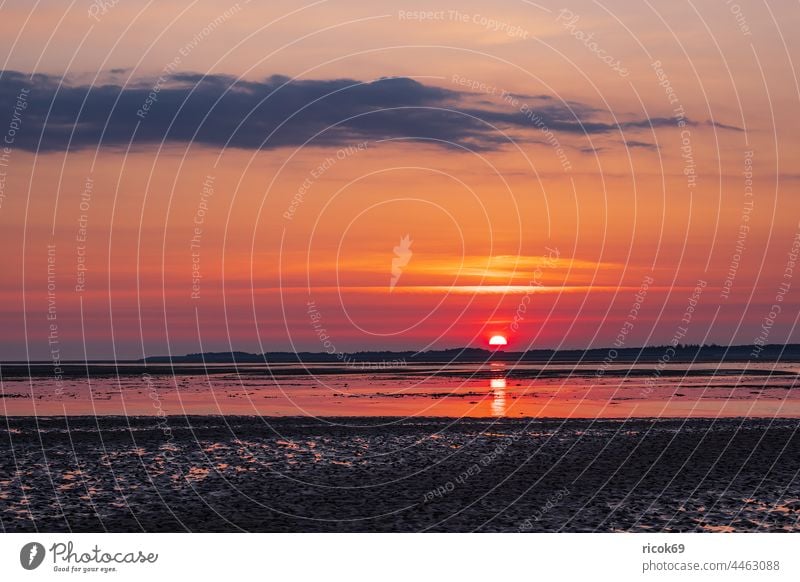 Sonnenaufgang im Wattenmeer auf der Insel Amrum Priel Norddorf Schleswig-Holstein Küste Reise Urlaub Schlick Sand Nordfriesische Insel Nordsee Nordseeküste