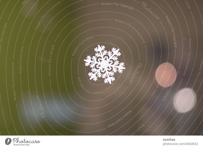 schneeflocke an einer fensterscheibe Schneeflocke Winter kalt Fensterscheibe Dekoration Schneefall Eis Frost Weihnachtsdekoration Schneekristall Eiskristall