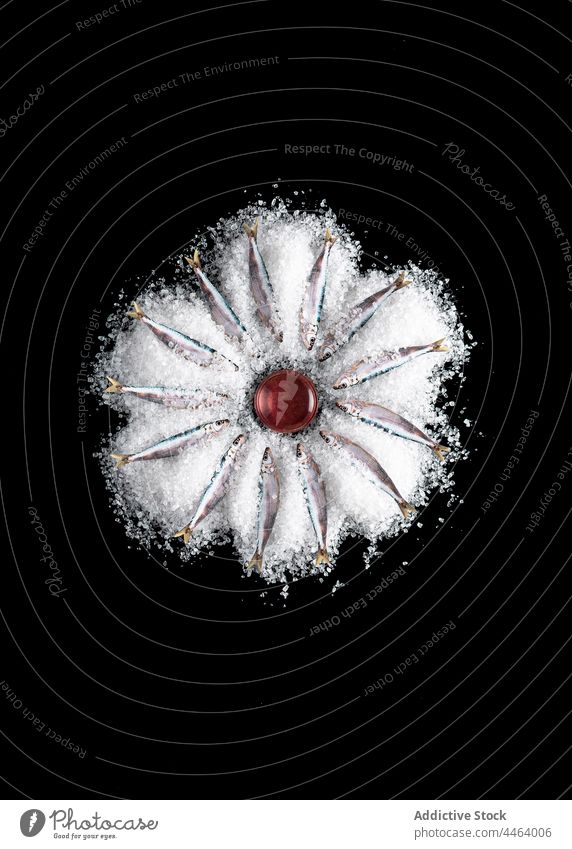 Kleiner Fisch auf Salz auf dunklem Hintergrund Meeresfrüchte roh Lebensmittel Zusammensetzung essbar Konzept ungekocht sehr wenige einfach Kulisse geschmackvoll