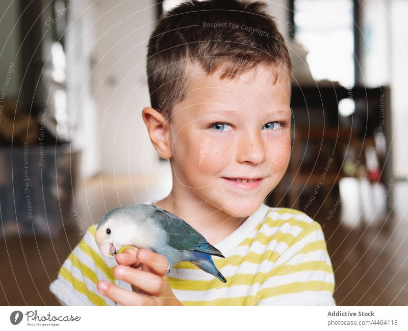 Lächelnder Junge mit kleinem Hauspapagei an der Hand Besitzer Vogel Papagei Liebesvogel heimisch neugierig Haustier Interesse positiv Bargeld Kind Gefieder