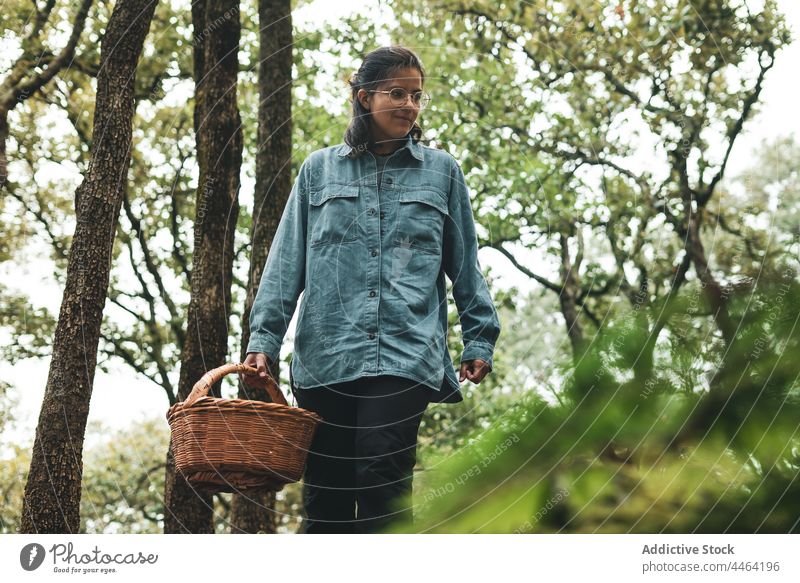 Frau sammelt Pilze im nebligen Wald Umwelt Flora Dunst Nebel pflücken Korb Natur Baum Wälder Waldgebiet abholen Landschaft dicht vegetieren schlendern wachsen