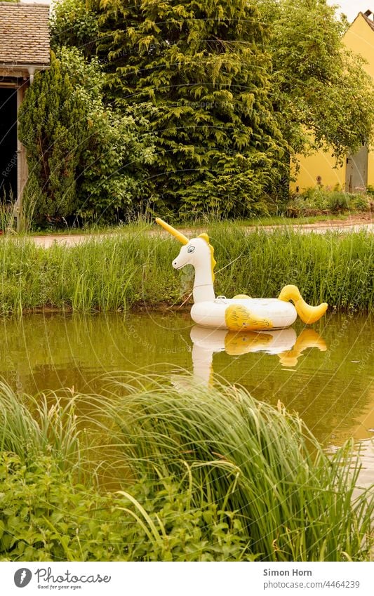 aufblasbares Einhorn schwimmen Fabelwesen Weiher aufblasen fantasie Schwimmen & Baden Außenaufnahme Tag Spiegelung Reflexion & Spiegelung nass See Teich Mythos