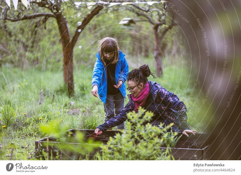 Mutter und Tochter pflanzen Samen im Gemeinschaftsgarten Zuteilung Betten Kinder Großstadt Ackerbau natürlich Gemüsebeet im Freien Container wachsen