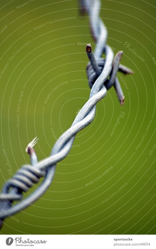 Stacheldraht Grenze Draht Dinge Handschellen