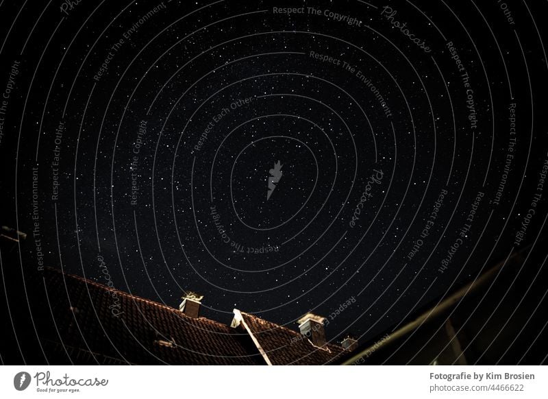 Sternennacht im Bergischen Land Sternschnuppe Stern (Symbol) sternenklar Sternenhimmel Sternbild Sternenzelt Astrologie Astrofotografie astrology astrophysik