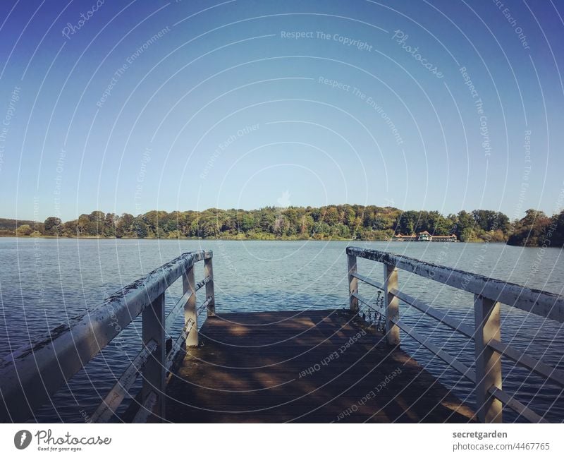 Spring in den See! Sommer Sommerurlaub sommerlich warm Farbfoto blau grün Außenaufnahme Ferien & Urlaub & Reisen Steg springen Natur Seeufer Menschenleer ruhig