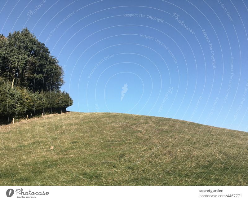 Und da soll mal einer sagen, im Norden gäbe es keine Berge! Landschaft Natur Naturschutzgebiet Hügel Berge u. Gebirge Wald minimalistisch Himmel Farbfoto