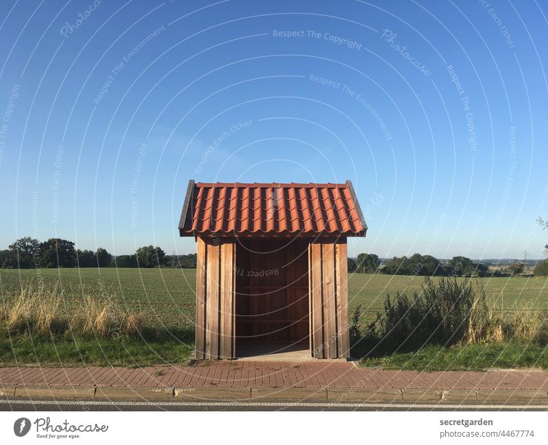 Tinyhouse. Bushaltestelle warten Zeit Himmel wolkenlos Wolkenloser Himmel Land Feld einsam Bürgersteig Zeitplan Ferne Wetter Wetterschutz Architektur Dach Haus