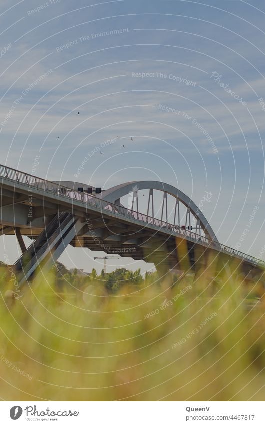 Waldschlößchenbrücke in Dresden Elbe Brücke Architektur Stadt Sachsen Elbufer Ferien & Urlaub & Reisen Reisefotografie Städtereise Tourismus Verkehr Autofahren