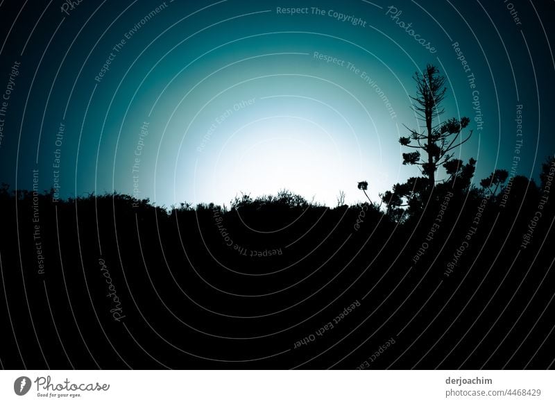 Hinter dem  Hügel mit Pflanzen,  erscheint ein heller Schein vor dem schon abgedunkelten Himmel. Die Sonne geht am Horizont unter. Sonnenuntergang am Abend