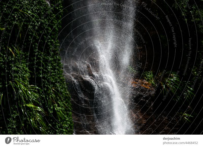 Kleiner Wasserfall in mitten vom Urwald fließt über die Felsen einzigartig und mit Gicht  in die Schlucht. Stein Natur Außenaufnahme Urelemente nass Farbfoto