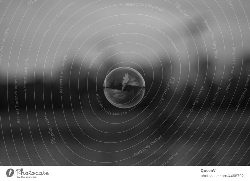 Seifenblase in Schwarzweiß Schwarzweißfoto Schweben blasen träumen Luft fliegen Gas leicht rund Vergangenheit Leichtigkeit Spielen Blase Reflexion & Spiegelung