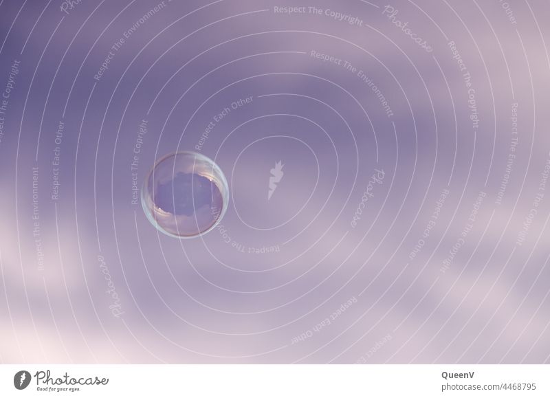 Schwebende Seifenblase mit Himmel im Hintergrund blasen waschen Luft Glück Spielen fliegen Freude Kindheit glänzend träumen blau Leichtigkeit Blase leicht