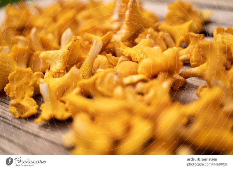 Frisch geerntete Pfifferlinge zum putzen auf altem Holztisch ernährung essen eierschwammerl pfifferling pilz natur draussen vegan vegetarisch close-up gesund