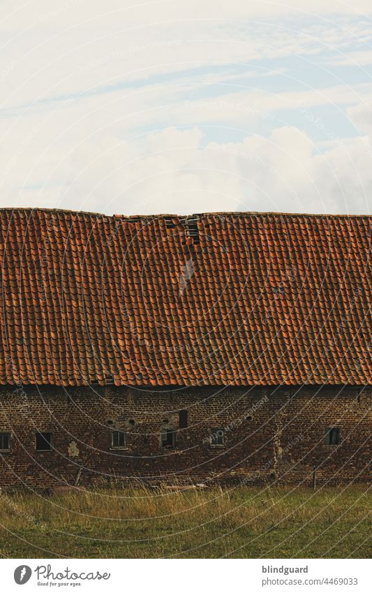 Dachschaden Scheune Belgien Weide Wiese Alt historisch defekt kaputt Bauernhof Brügge Haus alt Gebäude Außenaufnahme Architektur Fenster Menschenleer Fassade