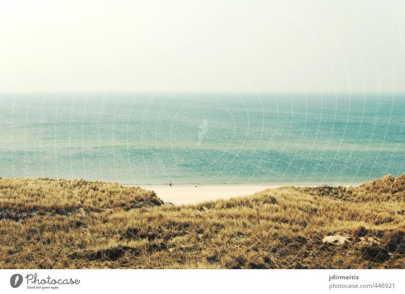 strand Ferien & Urlaub & Reisen Ferne Freiheit Sommer Strand Meer Umwelt Natur Landschaft Pflanze Sand Wasser Himmel Wolkenloser Himmel Horizont Schönes Wetter