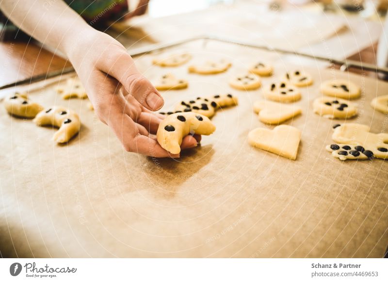 Hand legt Weihnachtsplätzchen auf Backblech Plätzchen ausstechen Zuckerguss Advent backen Weihnachten Vorweihnachtszeit Adventszeit Weihnachtsgebäck Kindheit