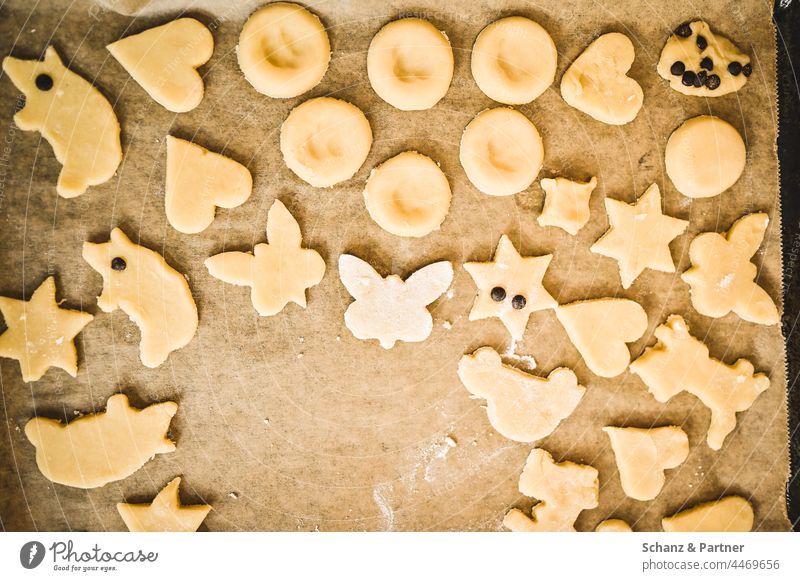 Backblech mit Weihnachtsplätzchen Plätzchen backen Weihnachten Vorweihnachtszeit Advent Adventszeit Weihnachtsgebäck Kindheit Backpapier Zucker Teig Zuckerguss