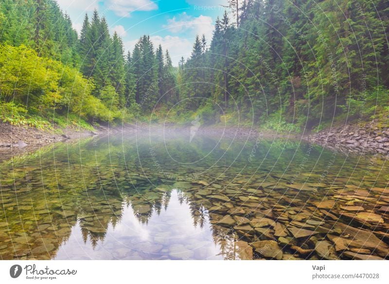 Wald nebliger blauer See Wasser Natur Landschaft schön Nebel Morgen Park Himmel Reflexion & Spiegelung grün Baum malerisch im Freien Berge u. Gebirge Sommer