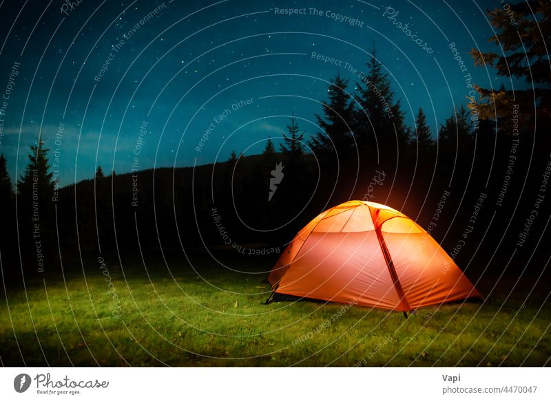 Beleuchtetes Zelt im nächtlichen Wald Nacht Berge beleuchtet Stern Natur Landschaft rot orange gelb im Freien Licht reisen Himmel Baum Gras Kiefer Sommer