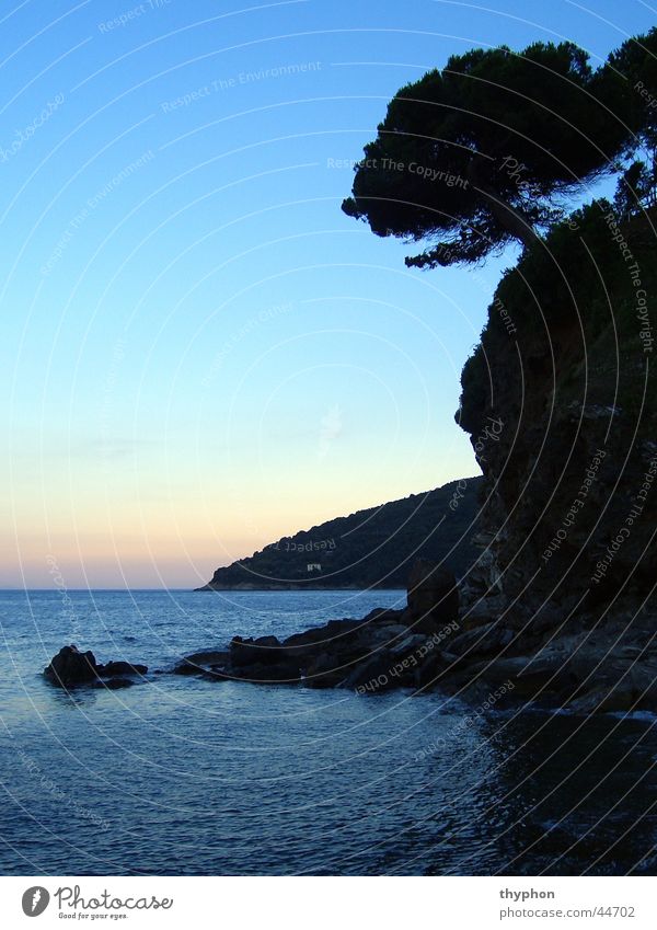 Bucht bei Dämmerung Baum Meer Elba Italien Silhouette Insel Felsen