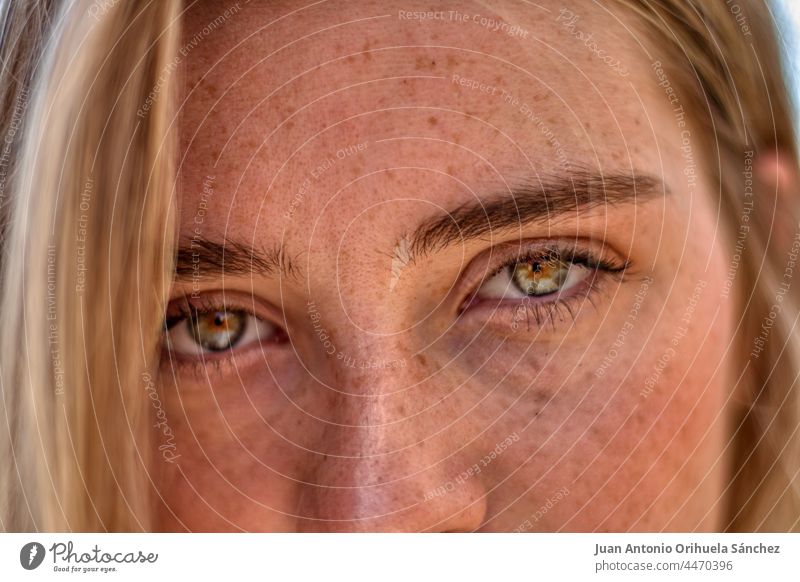 Detail des sommersprossigen Gesichts eines blonden Mädchens mit grünen Augen sommersprossiges Gesicht Sommersprosse hübsch Lifestyle Menschen attraktiv