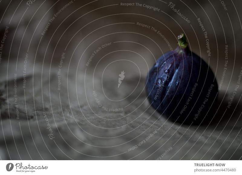 Oooh - Geheimnisvoll. Wie diese Frucht, die Feige. Ganz Lust und lecker. frisch frische Feige dunkelblau reif geschlossen einzeln Obst Vitamine Mineralstoffe