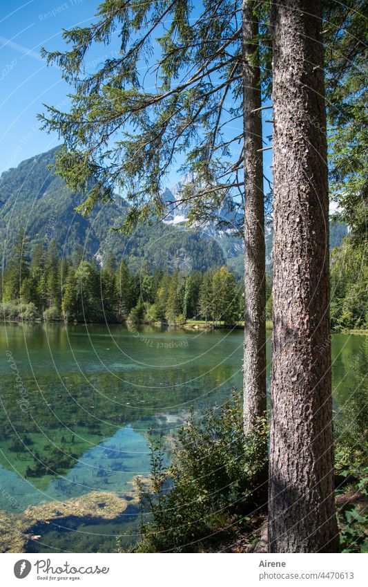 im Land der Berge und der Seen Alpen Berge u. Gebirge Bergsee Sommer Wasser Idylle Gebirgssee Bergwald Tourismus Natur Ferien & Urlaub & Reisen Landschaft