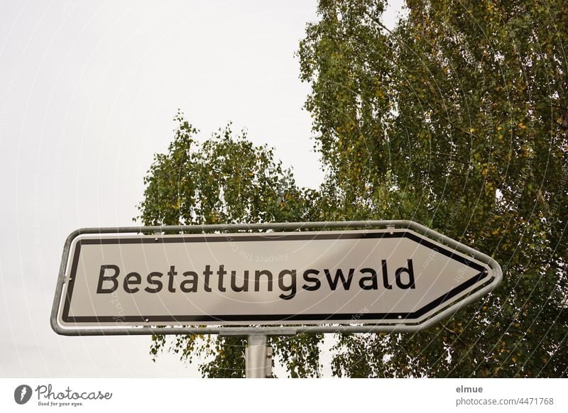 Hinweisschild  - Bestattungswald - vor einer Trauerweide / Ruheforst / Friedwald Waldbestattung Alternative zum Friedhof würdevoller Abschied Lebensende