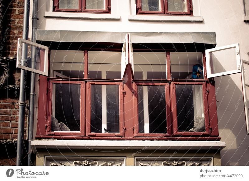 Es ist Sommer. Die Oberen Fenster werden ganz aufgemacht,  damit frische Luft in das Zimmer kommt. Die Fenster Flügel von innen haben weiß und von Außen rote Farbe. Unter dem Rand von dem einen  Fenster ist ein Katzenkopf zu sehen.