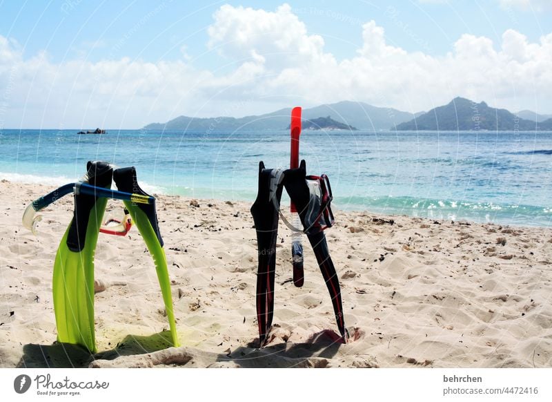 wochenende, yeah! traumhaft schön Küste Himmel Wolken genießen Flitterwochen Ferien & Urlaub & Reisen blau Strand Meer Wasser Trauminsel Paradies Seychellen