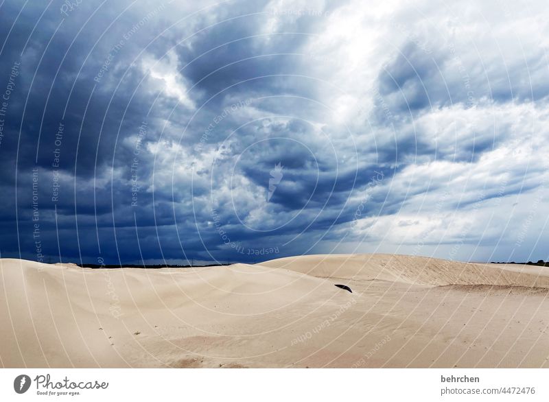 himmelsspektakel Kieswerk dramatisch Dünen Himmel Dramatik Umwelt Wolken Regen Natur Klima Sturm Sand Unwetter Klimawandel Außenaufnahme Wetter Gewitter dunkel