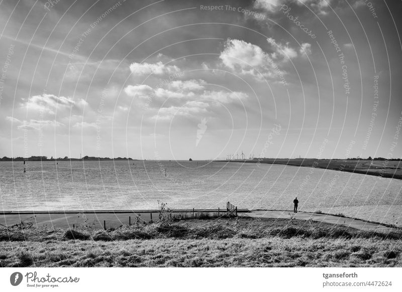 Fernweh Ferien & Urlaub & Reisen Landschaft Horizont Nordsee Ems Ostfriesland Dollart Wasser Außenaufnahme Küste Wolken Ferne Niedersachsen norddeutschland