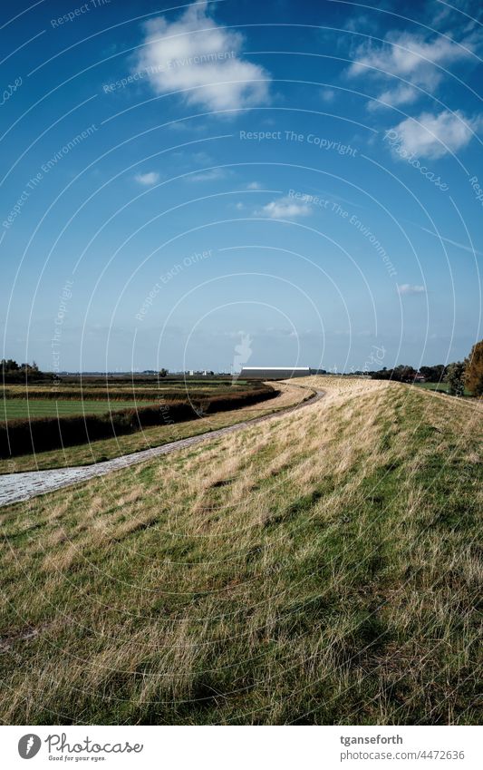 Emsdeich bei Hohegaste Deich Ostfriesland Leer Norddeutschland Spätsommer spätsommerlich Abendsonne Niedersachsen Landschaft Außenaufnahme norddeutschland