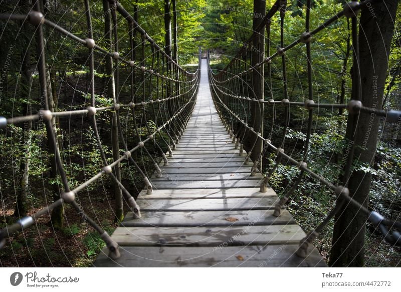 Der Rothaarsteig rothaarsteig rothaargebirge wald wälder wanderweg hängebrücke wandern deutschland siegen wittgenstein sauerland