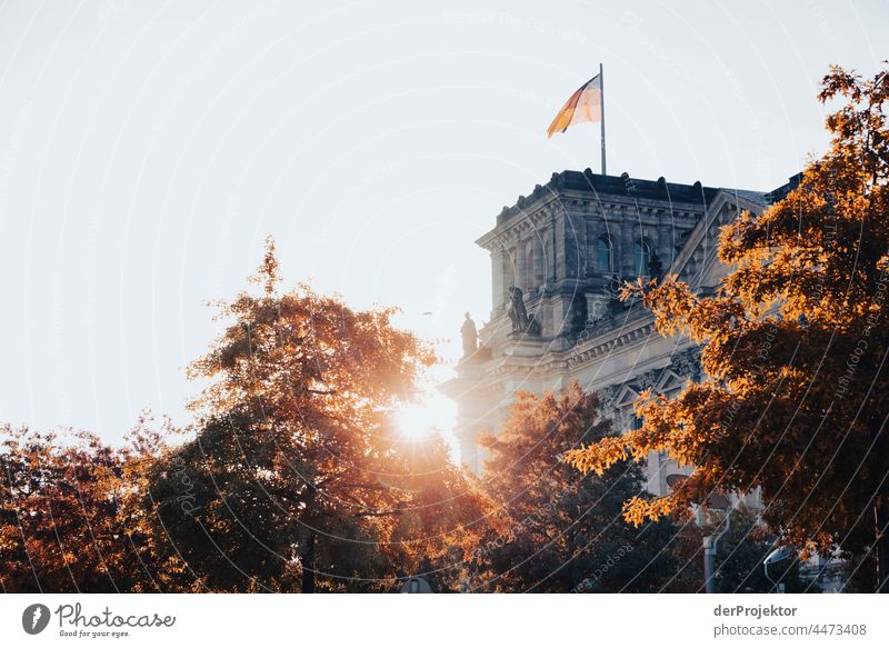 Reichstag am Morgen im Herbst IV Berlin-Mitte Sandstein Beton Zentralperspektive abstrakt Muster Strukturen & Formen Schönes Wetter Urbanisierung trendy