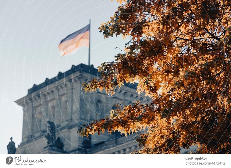 Reichstag am Morgen im Herbst II Berlin-Mitte Sandstein Beton Zentralperspektive abstrakt Muster Strukturen & Formen Schönes Wetter Urbanisierung trendy