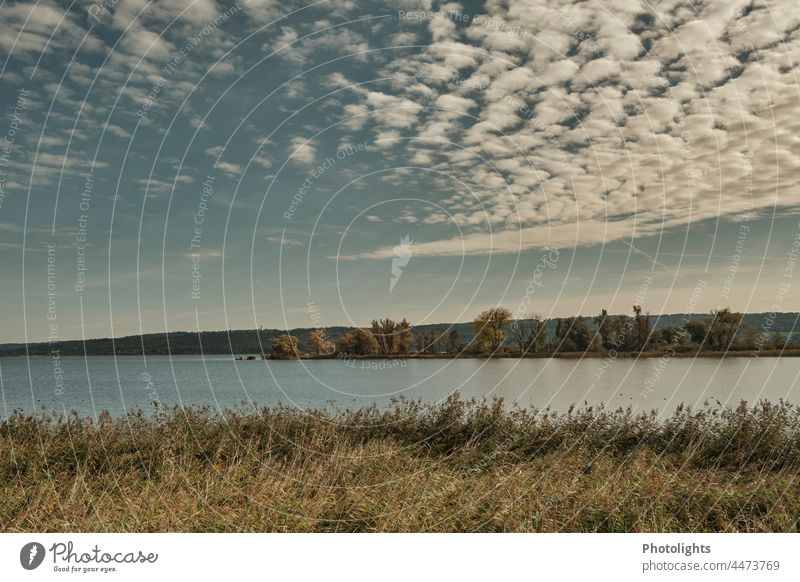 Wolken über dem Ammersee Urlaub Bayern Oberbayern See Alpenvorland Wasser Außenaufnahme Natur Landschaft Sommer Herbst Seeufer Schilf Reflexion & Spiegelung