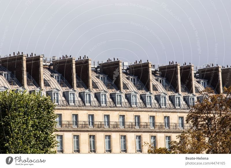 Über den Dächern von Paris Dach Kamin Schornstein Außenaufnahme Architektur Haus Menschenleer Balkon Farbfoto Tag Fenster Bauwerk Stadtzentrum Fassade Gebäude