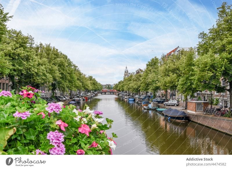 Verschiedene Boote auf dem Kanal im Stadtviertel Großstadt Revier Pflanze Blume Gebäude wohnbedingt Landschaft Sightseeing malerisch Baum Blütezeit sonnig ruhig