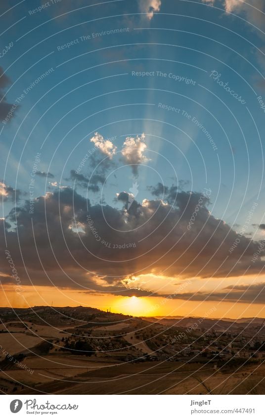 Lichtschicht Ferien & Urlaub & Reisen Tourismus Ferne Freiheit Sommer Sommerurlaub Sonne Umwelt Natur Landschaft Pflanze Tier Himmel Wolken Sonnenaufgang