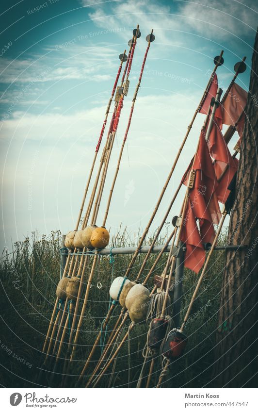 Equipment Schifffahrt Fischerboot Schilder & Markierungen Knoten ästhetisch dünn Fahne Fischereiwirtschaft Meer Küste maritim Farbfoto mehrfarbig Außenaufnahme