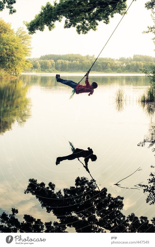 swing low Mensch Junge Junger Mann Jugendliche Kindheit Körper 1 Umwelt Natur Wasser Sommer Schönes Wetter Baum Blatt Baumkrone Seeufer schaukeln frei Freude