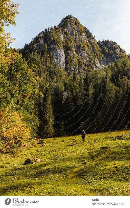 Lichtung am Berg berg alpen wandern wanderung berge gipfel spitze spitzig wiese gras wald bäume wanderer frau weg wanderweg wanderpfad outdoor natur urlaub