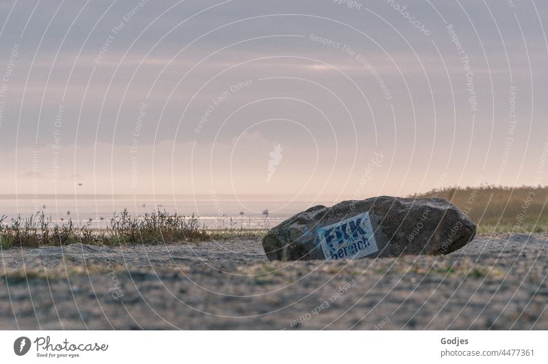 Felsen am Strand mit der Aufschrift 'FKK Bereich' am frühen Morgen FKK-Strand Morgendämmerung Morgennebel Sommer Meer nackt Natur Tag Naturismus Wasser Nebel