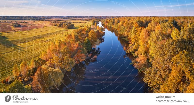 Wilder Wald, Fluss, Wiese Sonnenuntergangspanorama. Idyllische sonnige Herbstlandschaft, ländliche Luftbildszene - Archivfoto Panorama Wasser fallen Holz gelb